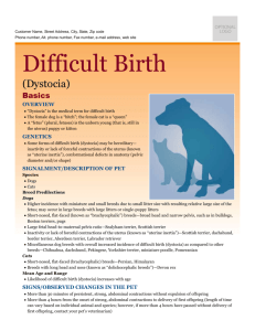 difficult_birth