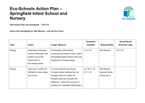 Eco School Green Flag action plan 2015-16