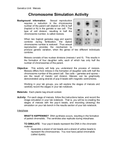 Genetics Unit: Meiosis Chromosome Simulation Activity Background