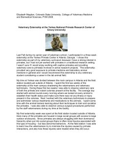 Veterinary Externship at the Yerkes National Primate Research