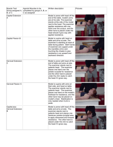 Manual Muscle Testing Project with pictures