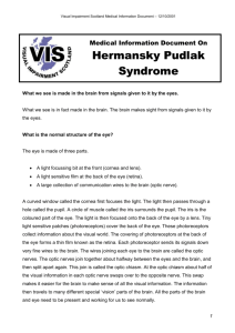Hermansky Pudlak - Visual Impairment Network Children Young
