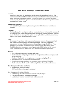 Jones Creek summary for middle reach study 2006