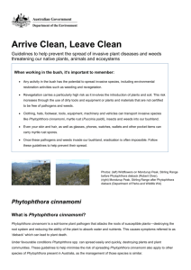 Arrive Clean, Leave Clean - Department of the Environment
