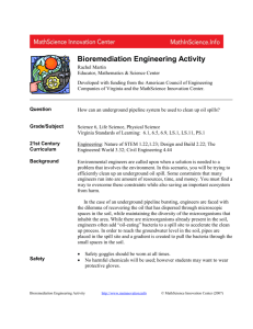 Bioremediation Engineering Activity