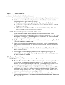 Chapter 23 Lecture Outline