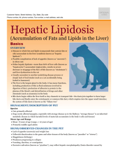 hepatic_lipidosis