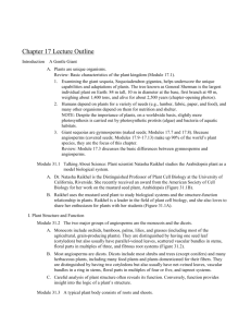 Chapter 28 Lecture notes