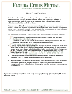 Citrus Freeze Fact Sheet