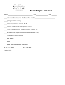 Human Pedigree Grade Sheet