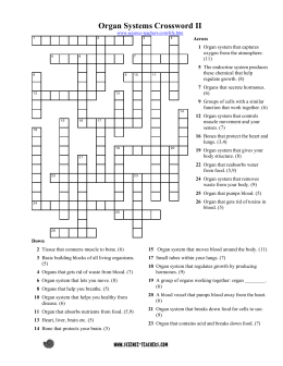 studylib.net - Essys, homework help, flashcards, research papers, book