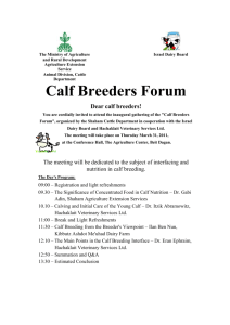 Calf Breeders Forum