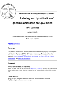 Labeling and hybridization of genomic amplicons on CpG island