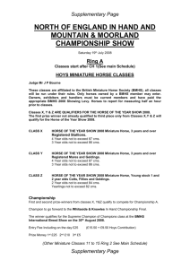 north of england in hand and mountain & moorland championship