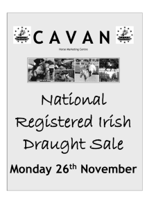 Stable No - Cavan Equestrian and Horse Marketing Centre