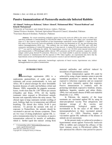 Passive Immunisation of Pasteurella multocida Infected Rabbits