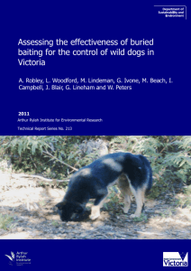 Assessing the effectiveness of buried baiting for the control of wild