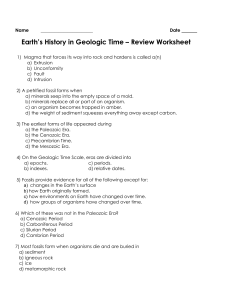 C7 Fossils and Geologic Time REVIEW packet