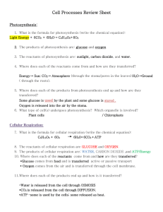 Cell Processes Review Sheet Photosynthesis: What is the formula