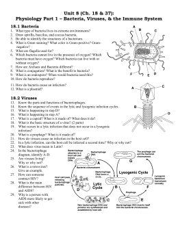 Chapter 18 Bacteria and Viruses worksheet