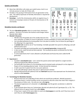 Genetics Worksheet Trait Of The Pea Plant Answer Key - dmodesignstudio