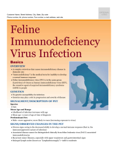 feline_immunodeficiency_virus_infection