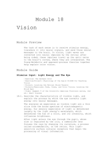 Module 18 Vision Module Preview The task of each sense is to