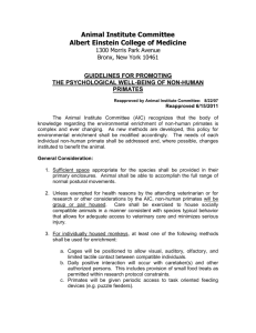Animal Institute Committee - Albert Einstein College of Medicine