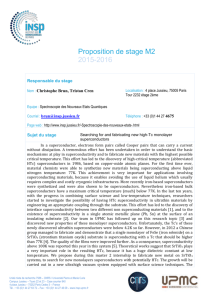 Proposition de stage M2 2015-2016 Responsable du stage Nom