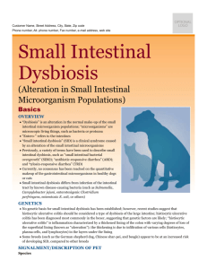 small_intestinal_dysbiosis