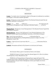 Category I Easement Agreement Template in Microsoft Word
