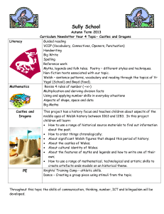 Curriculum Newsletter - Sully Primary School