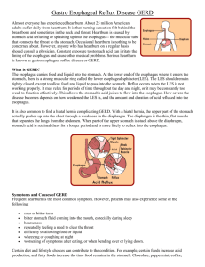 Gastro Esophageal Reflux Disease GERD