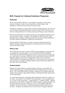 BVD: Proposal for A National Eradication Programme