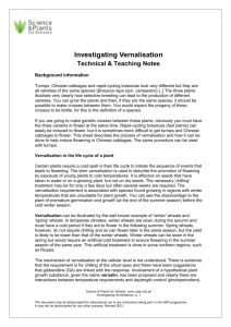SAPS - Investigating Vernalisation