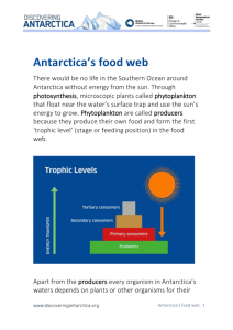 DOWNLOAD Antarctica`s food web (Word)