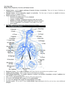 Biology Muscle, Respiratory, Excretory and Immune Systems
