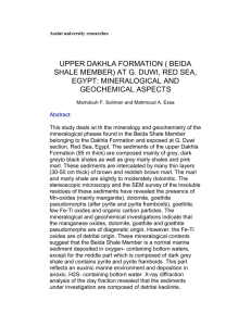 Assiut university researches UPPER DAKHLA FORMATION ( BEIDA
