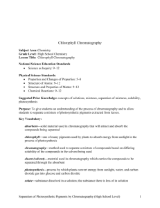 Chlorophyll Chromatography