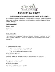 Behavior Evaluation Form