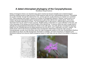 A dated chloroplast phylogeny of the Caryophyllaceae