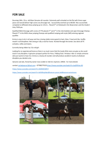 Horse for Sale - Mortimer Riding Club