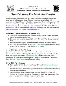 Clover Kids County Fair Participation Examples
