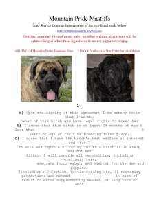 Mountain Pride Mastiffs Stud Service Contract between one of the t