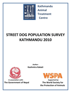 Street Dog Population Survey, Kathmandu
