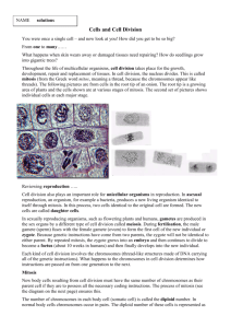 Cells and Cell Division