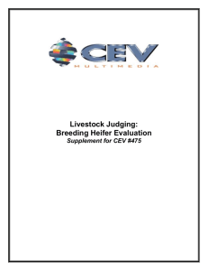 Livestock Judging: Breeding Heifer Evaluation – VideoActive