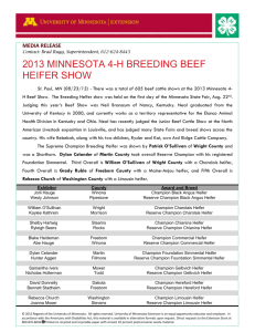 Beef heifers - University of Minnesota Extension