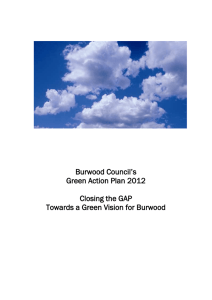 Burwood Council Green Vision Document