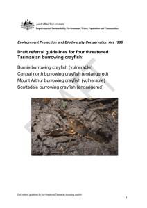 Draft referral guidelines for four threatened Tasmanian burrowing
